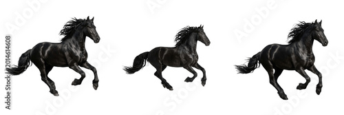 Photography Powerful Galloping Black Horse PNG, Stallion in Motion, Equestrian Animal Portrait Isolated on Transparent Background for Sport Design