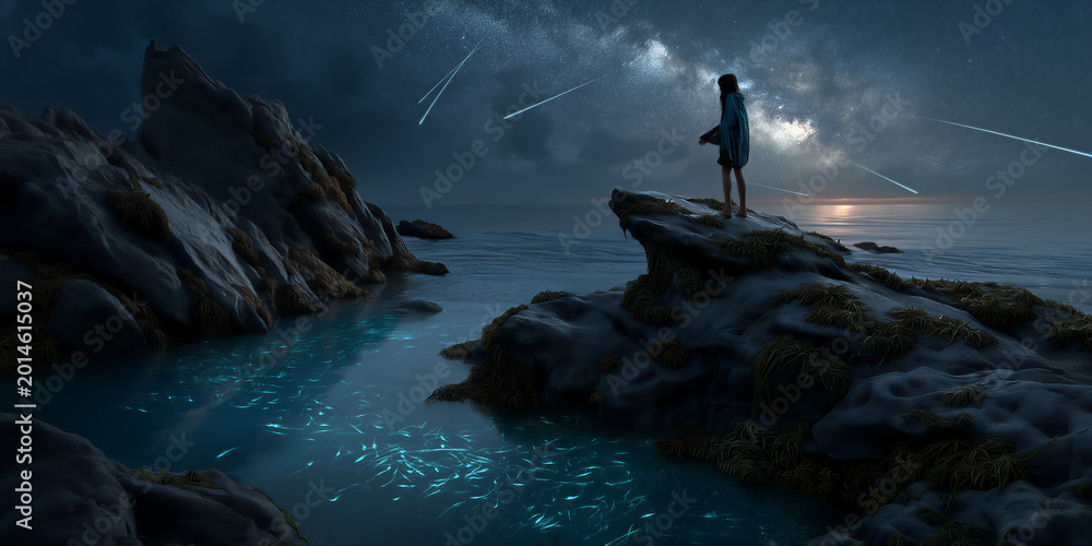 Fototapeta premium Solitary starry scene. Solo individual captures night sky with shimmering tide pools and stars