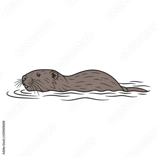 Illustration of a cute brown beaver swimming in the water on a white background.