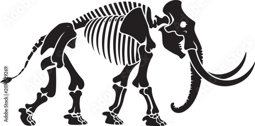 Quadro su tela Large black and white silhouette illustration of a prehistoric mammoth skeleton with long curved tusks for museum and educational designs