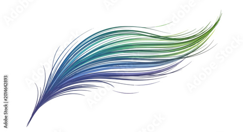 Flowing abstract feather shape with gradient colors from blue to green