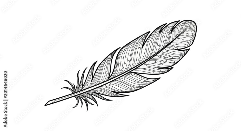 Obraz premium Delicate black ink feather with fine lines and speckles on white