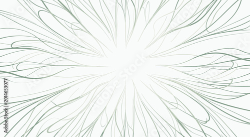 Fotografija Delicate pastel green, abstract line art radiating from a central white void
