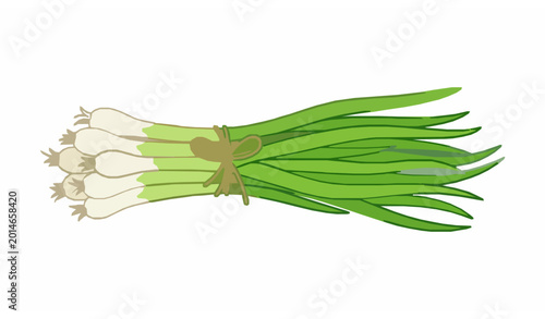 Schilderij op canvas Cartoon Green Onion Bunch Vector with Fresh Organic Scallions for Healthy Food a