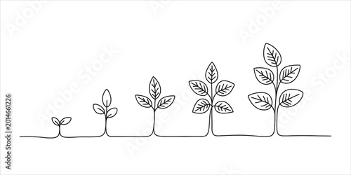 Bild auf Leinwand Hand drawn doodle of plant life cycle showing small sprout growing into a tall t