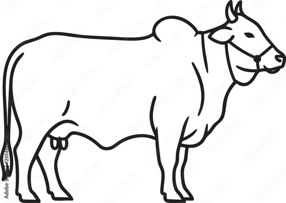 Fototapeta premium Minimalist line drawing of a humped zebu cow silhouette with livestock