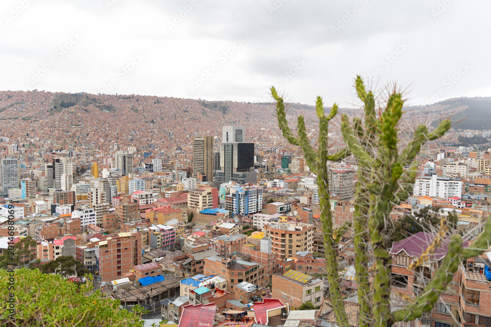 Obraz premium La Paz, Bolivia - February 02, 2025: Andean Cactus in Foreground with La Paz City Skyline and Densely Populated Hillsides