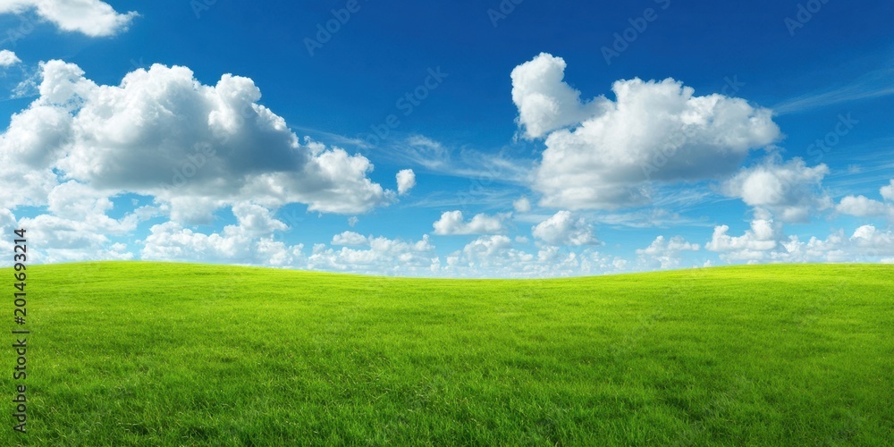Fototapeta premium The Green Meadow Under a Bright Blue Sky With Puffy White Clouds and Sunlight