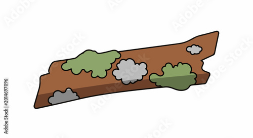 A brown tree branch with green and gray moss patches