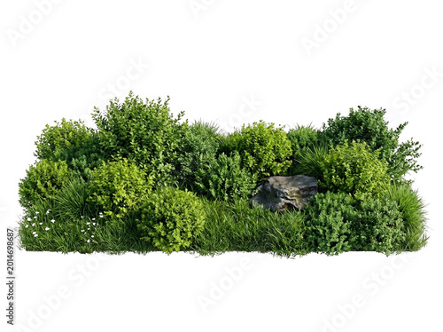 Lush greenery with rock on black background