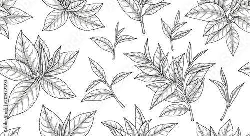 Seamless background pattern of hand drawn black and white tea leaf bunches in a vintage sketch style on white paper.