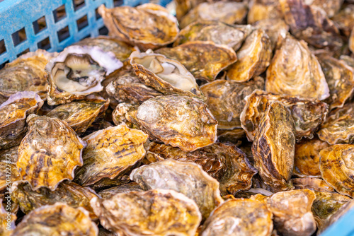 Oysters Box with many oysters in the market