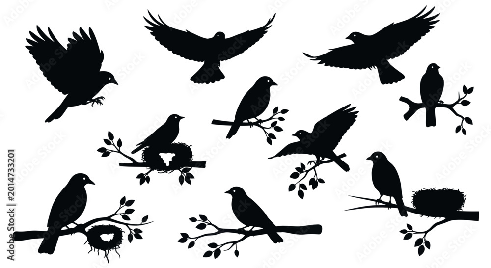 Obraz premium Bird Silhouettes Collection: Flying, Perching, Nests on Branches, White Background