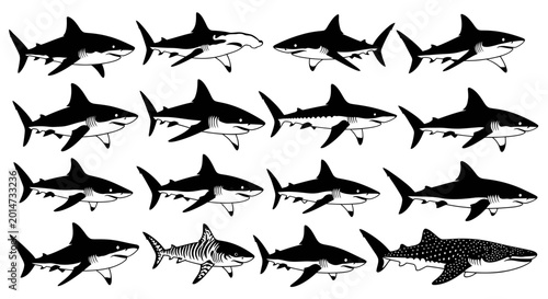 Принти на полотні Diverse Shark Species Collection - Underwater Wildlife Illustration