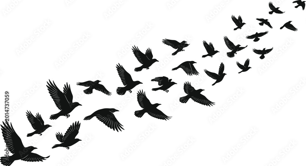 Obraz premium Flying Bird Silhouette Flock Collection with Dynamic Wings for Nature Wildlife and Freedom Graphic Design Projects