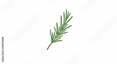 Foto Green herb sprig with small, needle-like leaves on a white background