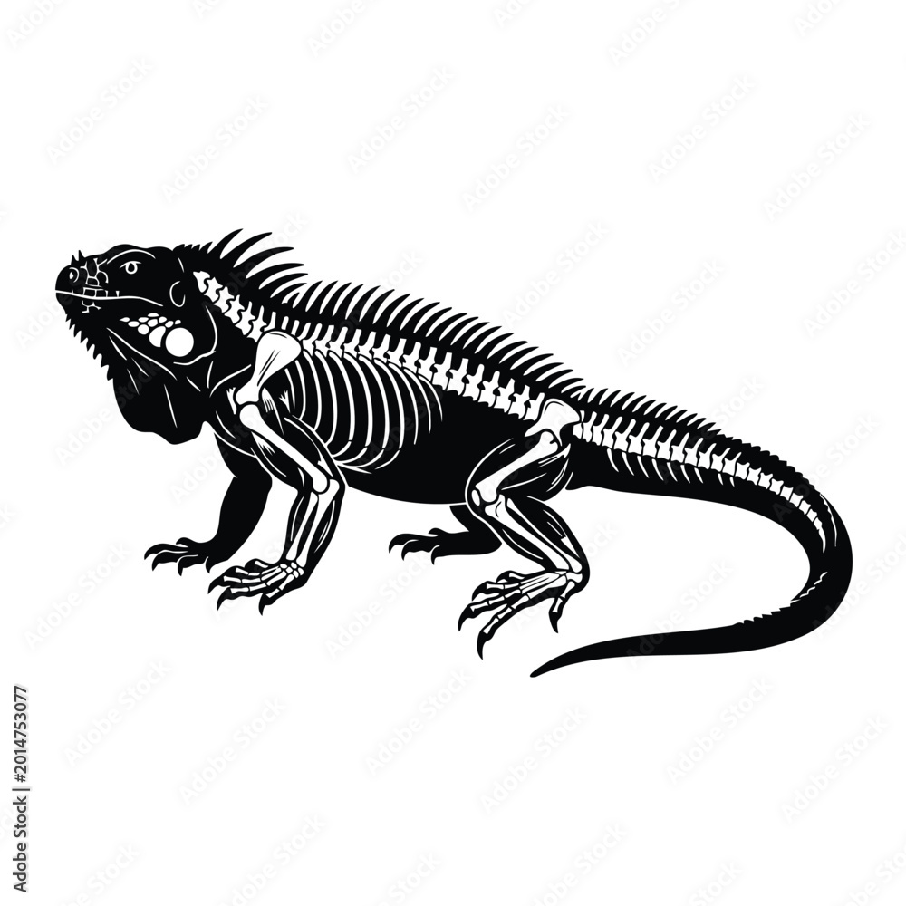 Fototapeta premium Iguana skeleton x-ray vector illustration isolated on white background.