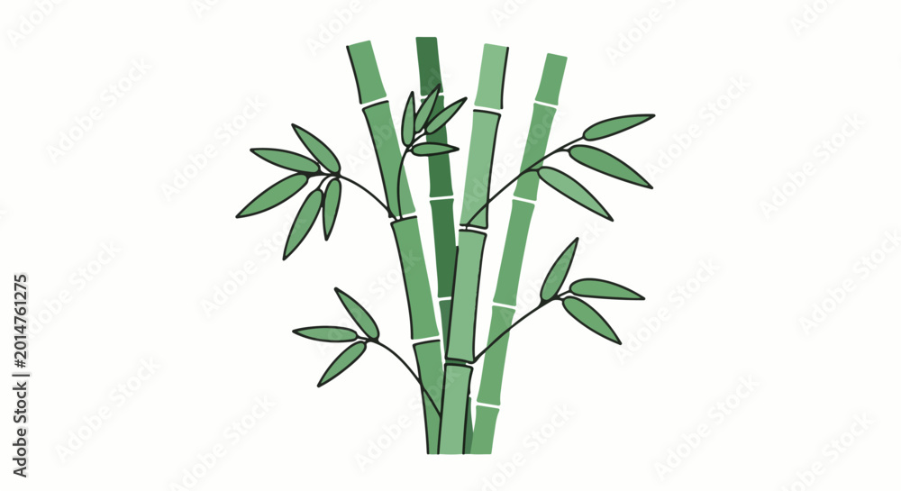 Obraz premium Simple illustration of green bamboo stalks with delicate leaves against white