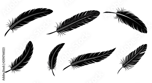 Obraz na płótnie Set of Black Feather Silhouettes on White Background, Isolated