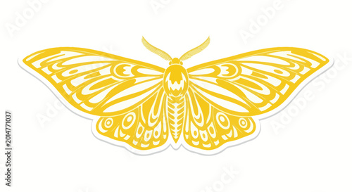 Cuadro en lienzo Golden Moth Silhouette, Elegant Insect Wing Pattern, Isolated on White Backgroun
