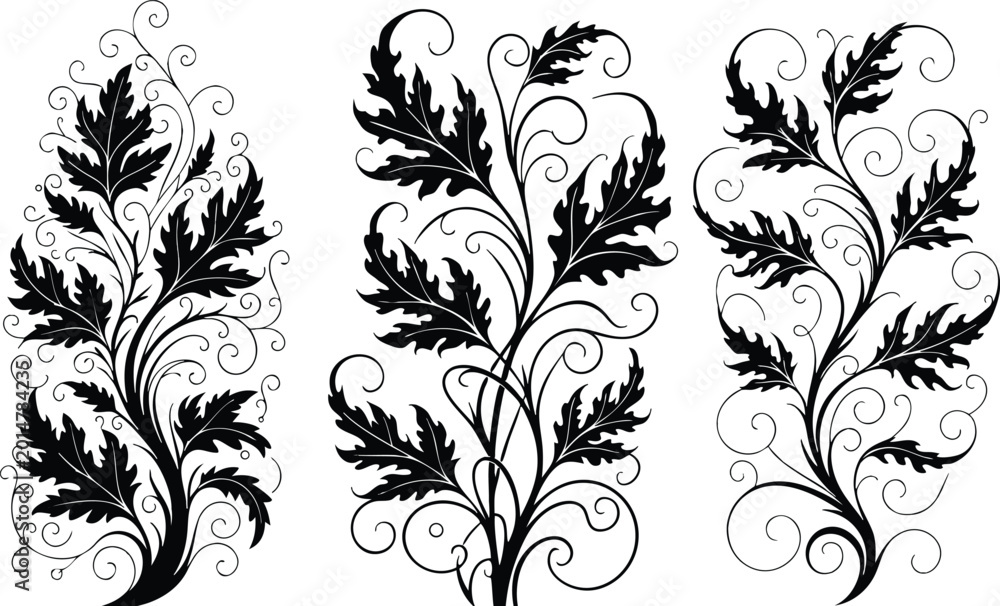 Obraz premium Black and white elegant acanthus leaf decorative vector design with swirls