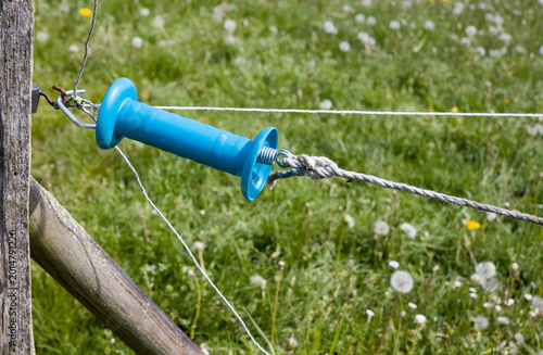 Weidezaun Isolator 7