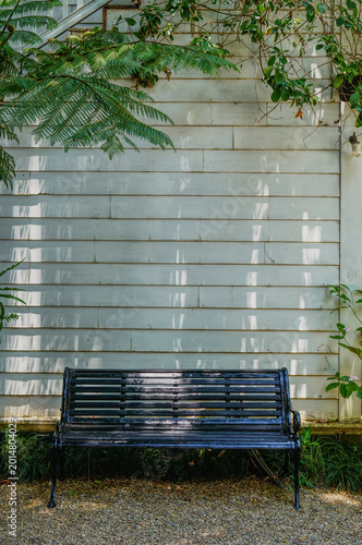 An empty bench sits in front of a textured wall with plant on the top, creating a tranquil scene