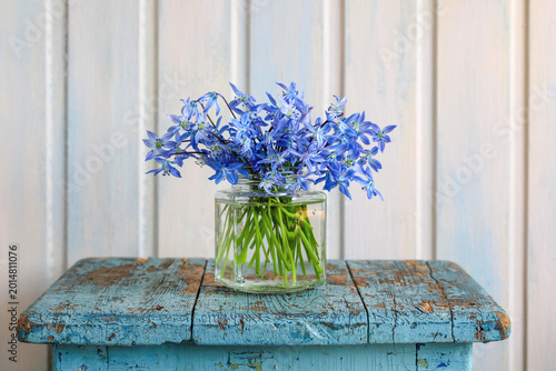 Cute bouquet of fragile blue scilla spring flowers in glass jar, soft spring atmosphere