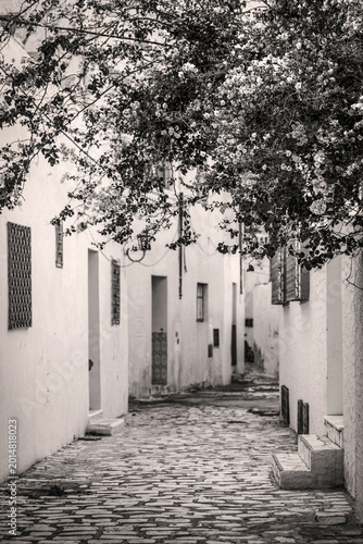 Bougainvillier dans une ruelle 