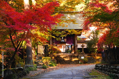 お寺の紅葉