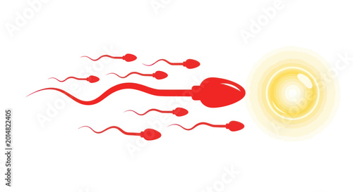 Photos Sperm Cells Approaching Egg Cell for Fertilization - Medical Illustration