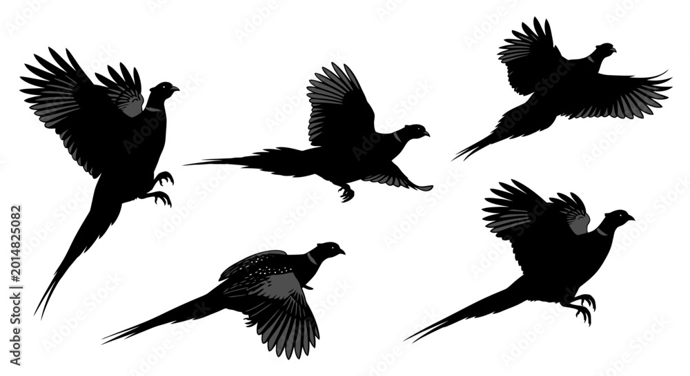 Obraz premium Pheasant Flight Silhouettes Collection: Birds in Motion