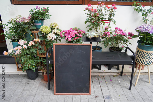 Photography Chalkboard sign template left blank for your own marketing message