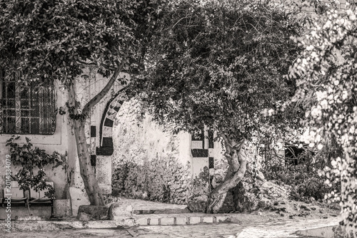 Ruelle arborée