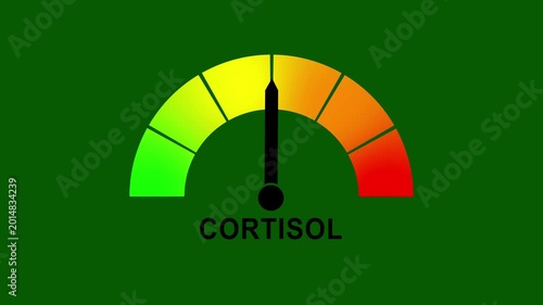 Animated digital gauge displays Cortisol rate level, ranging from safe low to critical high, indicator changes through green, yellow, and red levels on dashboard.animation