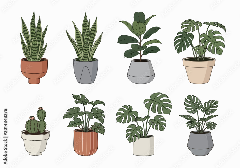 Obraz premium An illustration of various plants in pots on a white background