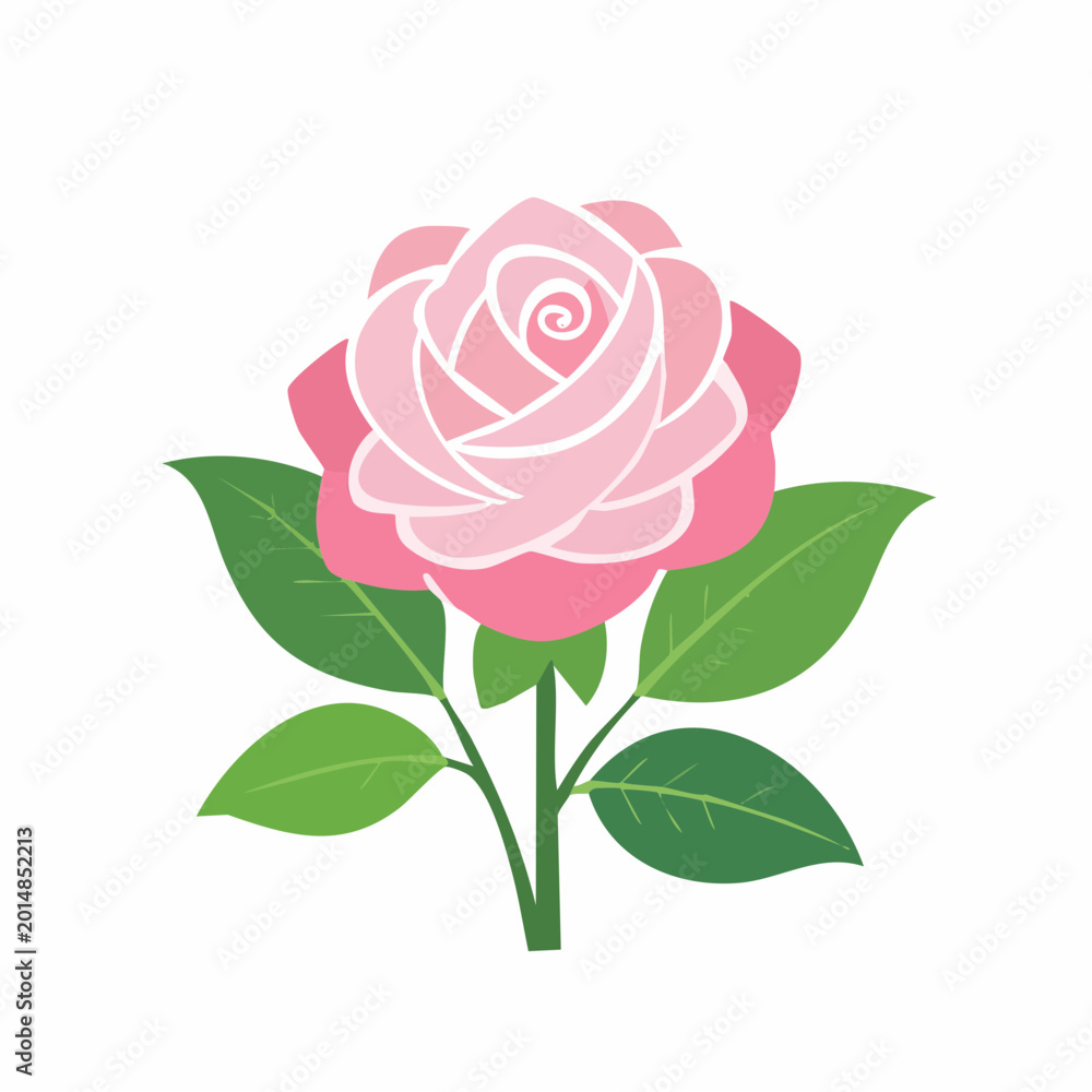 Fototapeta premium Pink Rose Illustration