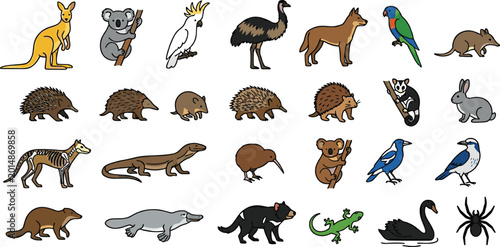 Photography Large Australian and New Zealand Wildlife Vector Set Featuring Kangaroo Koala Em