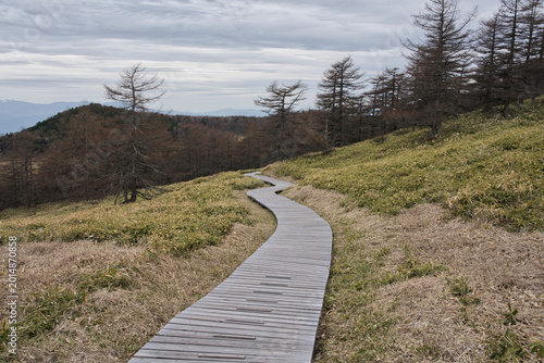 Beautiful Scenic Landscape of Ikenohira Wetland in Nagano Japan