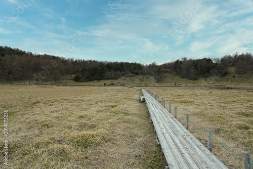 Beautiful Scenic Landscape of Ikenohira Wetland in Nagano Japan