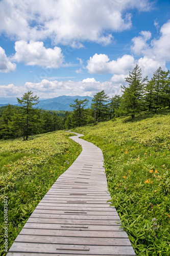 Beautiful Scenic Landscape of Ikenohira Wetland in Nagano Japan