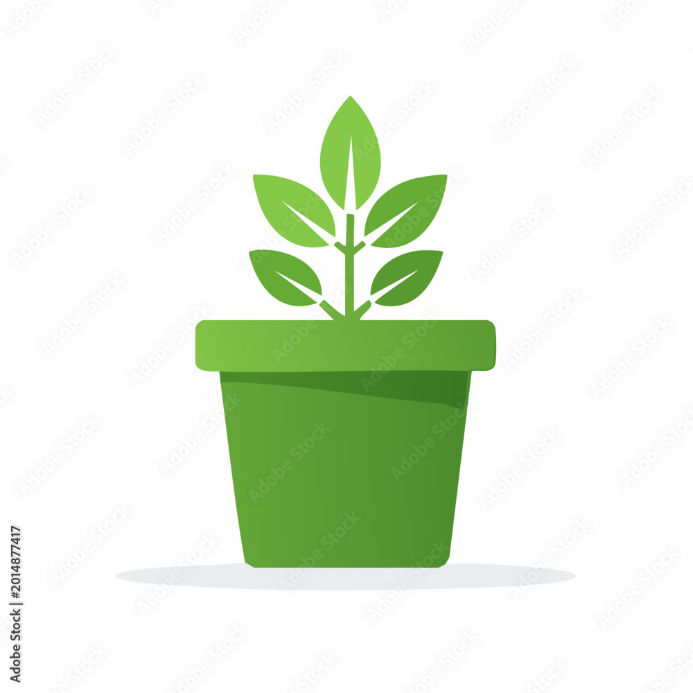 Fototapeta premium Green plant growing in a pot