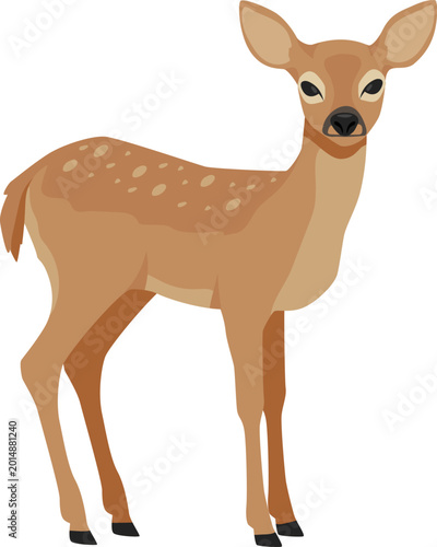 Wild Animal Illustration
