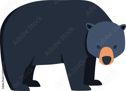 Wild Animal Illustration