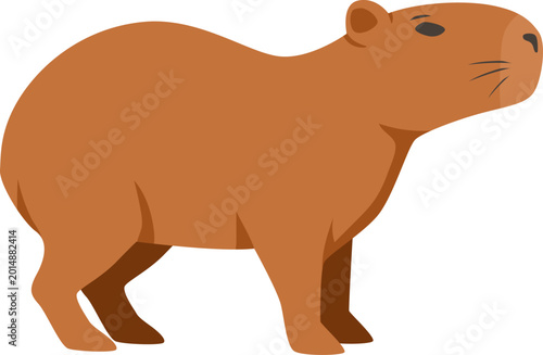 Wild Animal Illustration
