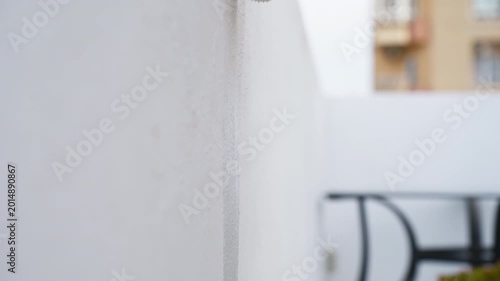 Male hand with a paint roller carefully painting a white exterior wall. Detailed view of a painter at work, applying a fresh coat of paint during home renovation and maintenance