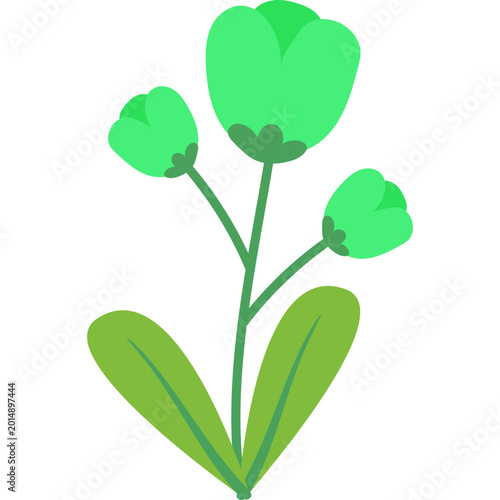 Flower and Plants Element