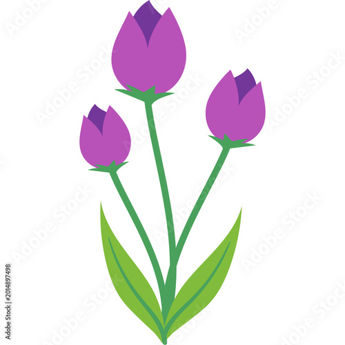 Flower and Plants Element