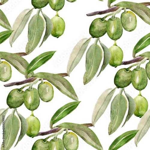 Watercolor olive tree branch. Image on white and colored background. Patten seamless.