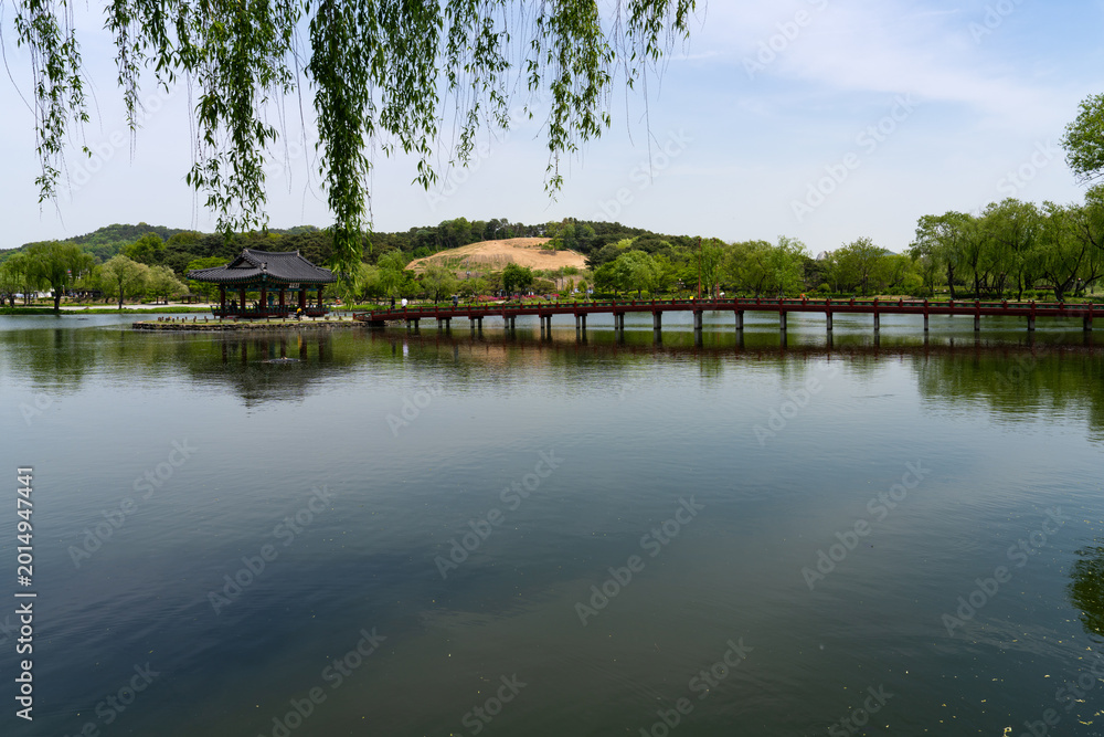 Fototapeta premium Iconic Willow Tree Branches over Gungnamji Pond and Pavilion